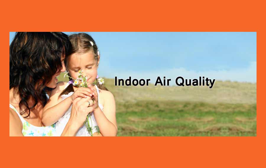 Parent and child smelling flowers outside for clean indoor air quality in Gilbert AZ
