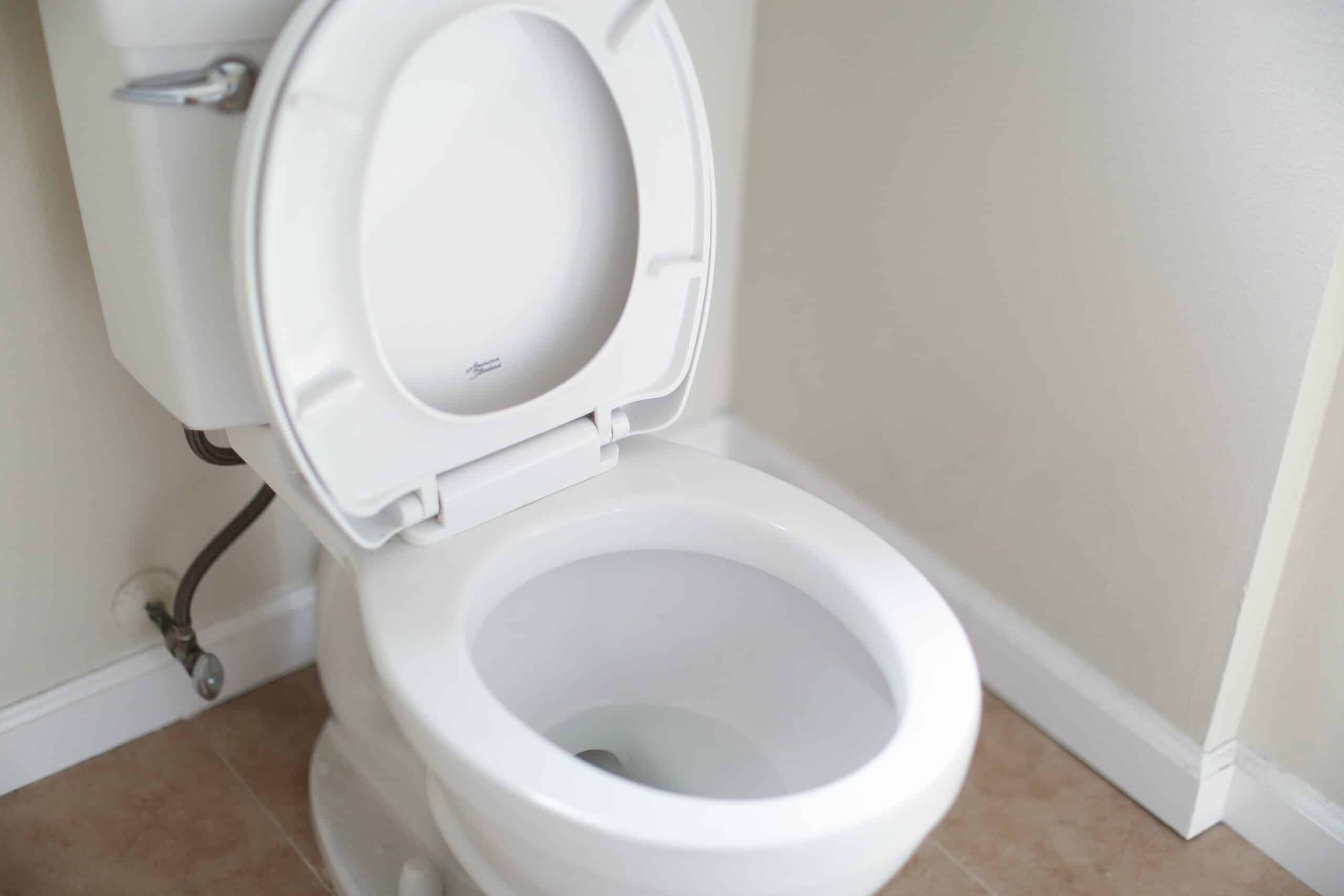 Maricopa, AZ Area Toilet Flushing Properly